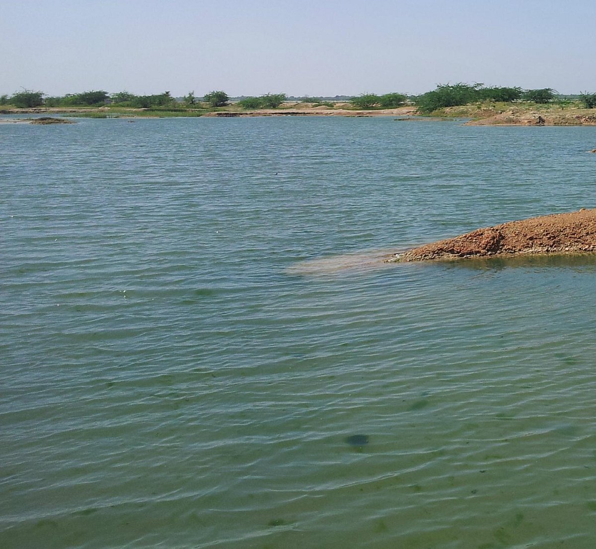 India Lake Cruises